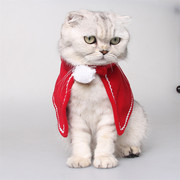 圣诞宠物披风斗篷新年用品迷你裙红色套装狗狗猫咪小外套喜庆过年