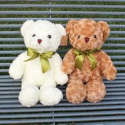泰迪熊抱抱熊小熊公仔布娃娃，毛绒玩具小号，玩偶送女生儿童生日礼物