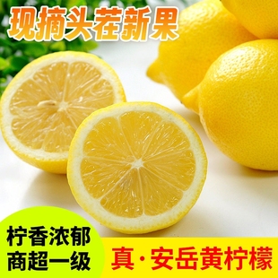 四川真安岳黄柠檬(黄柠檬，)5斤当季新鲜水果，薄皮香水鲜甜柠檬生鲜皮薄