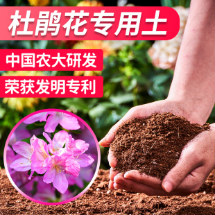 杜鹃花专用土杜鹃花专用营养土，杜鹃花土专用肥土壤肥料漫生活