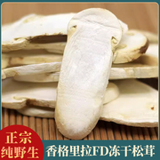 云南松茸香格里拉FD冻干松茸新鲜松茸菌干货特级野生菌松茸冻干片