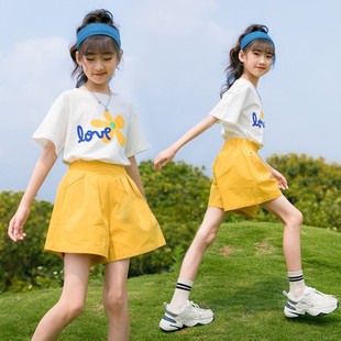 韩版夏季花朵3岁套装女童夏季两件套棉短袖短裤休闲运动24年