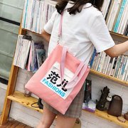 学生帆布包手提袋斜跨单肩大容量潮范儿女韩版定制补课包包