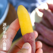 红薯新鲜临安正宗天目山小香薯紫薯蜜薯农家自种番薯山芋地瓜