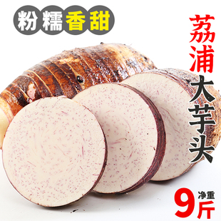 广西荔浦新鲜大芋头9斤农家特产紫藤香芋槟榔芋毛芋头蔬菜10