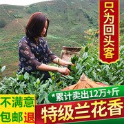 正宗安溪铁观音秋茶浓香型乌龙茶新茶春茶叶清香型绿茶散装500g