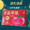 山西吉县壶口红富士苹果特级当季新鲜水果非冰糖心10斤礼盒装脆甜