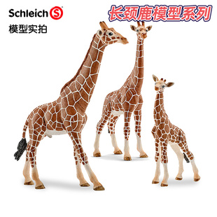 正版德国思乐schleich动物，模型长颈鹿系列孩子礼物，静态模型摆件