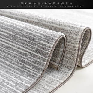 纯色地毯客厅现代简约北欧风格沙发茶几垫灰色家用卧室新中式短毛