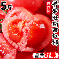 露天粉番茄西红柿5斤沙瓤，普罗旺斯新鲜熟生吃铁皮水果大
