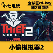 Steam正版小偷模拟器2激活码CDKey国区全球区Thief Simulator 2