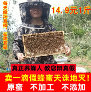 纯蜂蜜纯正天然成熟原蜜农家，自产百花蜜野生宗枣洋槐野山花土蜂蜜