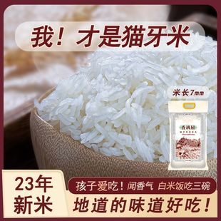 2024年新米猫牙米长粒香大米5kg10斤泰国香米丝苗米煲仔饭专用米
