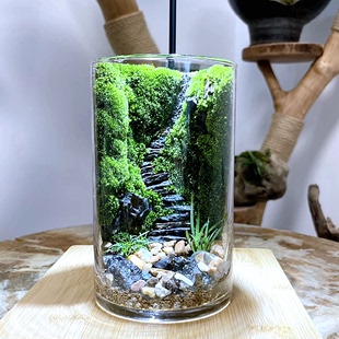 步步高升生态瓶苔藓创意微景观学生作业diy手工造景绿植物办公室