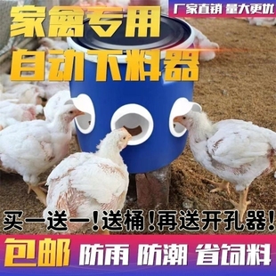 鸡鸭自动喂食器养鸡自动饮水器喂鸡食槽料槽喂喝水碗养鸡神器