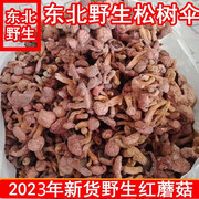 东北特产野生松蘑菇 红蘑菇菌松树伞红肉蘑菇干货松茸半斤