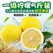 四川安岳黄柠檬(黄柠檬)一级果尤力克5斤装新鲜现摘当季水果15到30个