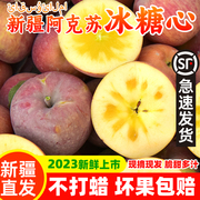 阿克苏冰糖心苹果新疆原产地红旗坡农场孕妇水果礼盒装