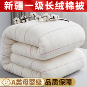新疆一级长绒棉花被纯棉被芯学生，棉絮床垫被褥子，加厚保暖冬被被子
