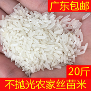 农家大米不抛光20斤长香粒自种散装广东，乡下丝苗米2023年晚稻新米
