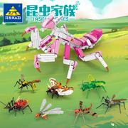 开智积木昆虫家族螳螂蜜蜂虎蛾竹节虫组装模型儿童拼装玩具80056