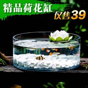 水培玻璃花瓶透明花盆客厅桌面金鱼缸绿萝水培器皿植物简约现代