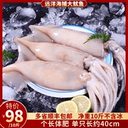 大鱿鱼整只生鲜水产商用冻货冷冻铁板烧烤火锅食材新鲜乌贼10斤