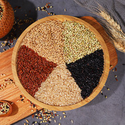 东北五色糙米5斤农家自种健身代餐新粳米粗粮五谷杂粮饭红米黑米
