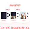 XEI3倒热水变色水杯马克杯印图可印照片定 做带盖带勺情侣陶瓷杯