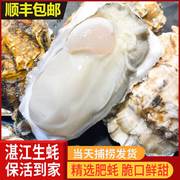 湛江生蚝鲜活广东新鲜海鲜，水产特大带，壳牡蛎保活净重5