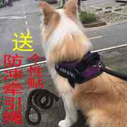 狗狗胸背带大型犬金毛阿拉斯加牵引绳中型犬马犬狗链子遛狗绳项圈