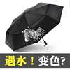 全自动雨伞男折叠个性晴雨，两用创意简约防晒防紫外线变色太阳伞女
