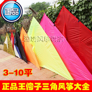 王侉子风筝微风大型三角风筝航空软伞布碳杆潍坊线具老店