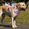 背心式狗狗牵引绳中大型犬拉布拉多，金毛柯基胸，背带可调节遛狗绳子