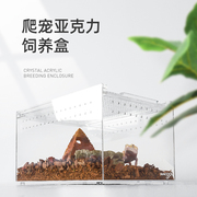 玩酷瑞皮Reptizoo亚克力饲养盒蜗牛守宫角蛙蜥蜴乌龟缸昆虫爬宠箱