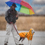 狗狗雨衣金毛边牧中大型犬雨披泰迪比F熊博美小型犬防水服狗狗衣