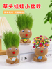 草头娃娃创意小盆栽，办公室可爱植物趣味，长草娃娃儿童水培绿植客厅