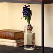 日式多肉植物水养玻璃花瓶，绿萝水培绿植风信子插花器，家居装饰摆件