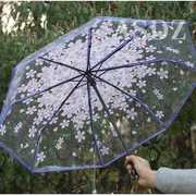高档透明雨伞可折叠简约ins防紫外线公主森系日系小清新男女大号
