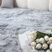 网红卧室地垫厚免打理地毯客厅，沙发茶几脚垫，加厚毛绒地毯飘窗垫子