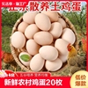 筱诺新鲜农村土鸡蛋40g枚农家散养自养天然柴鸡蛋，笨鸡蛋草鸡蛋