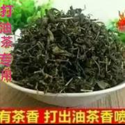 2023年新茶广西特产恭城全洲灌阳打油茶选用散装绿茶叶250克