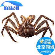 北京闪送4-8斤1只鲜活帝王，蟹俄罗斯进口大螃蟹，皇帝蟹海鲜水产