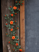 仿真花玫瑰花藤假花藤条缠绕客厅阳台楼梯装饰藤蔓叶空调管道遮挡