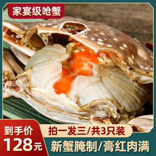 买一送一 今年鲜活红膏蟹腌制 家宴级呛蟹