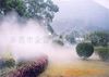 供应造雾设备人造雾，设备水雾喷头中央空调造雾工程