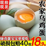 绿壳山鸡蛋60枚新鲜乌鸡蛋，40枚正宗农家散养土，鸡蛋30枚农村柴鸡蛋