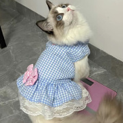 猫咪衣服公主蕾丝裙春秋装薄款宠物可爱布偶蓝猫小幼猫夏季防掉毛