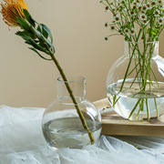 花瓶摆件客厅插花干花摆设玻璃，透明大水养，水竹茶几鲜花简约ins风