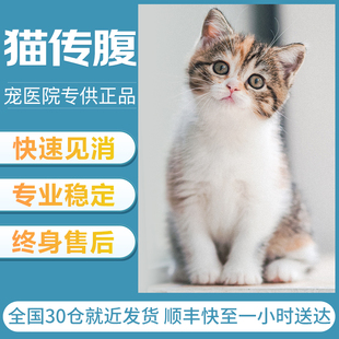 猫传腹抑制剂猫喵咪干性，湿性腹膜炎fipv口服油，片剂特针剂营养液